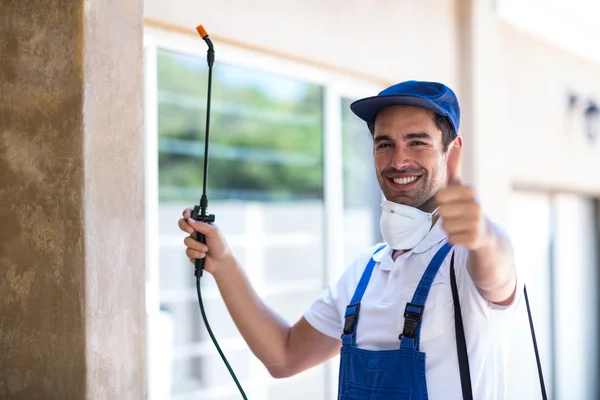 Waxahachie Wasp Removal