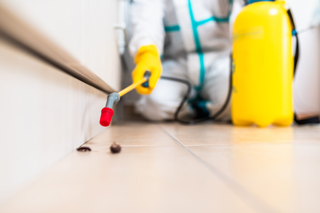 Waxahachie Cockroach Experts