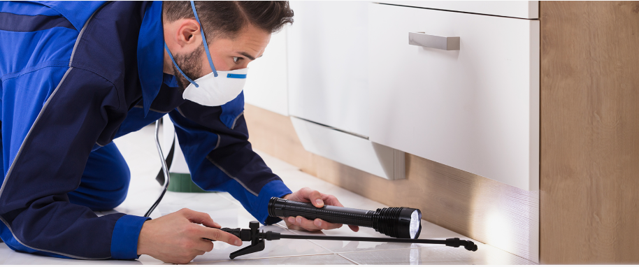 Waxahachie pest xpert removal