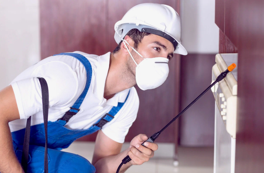 Waxahachie local pest services