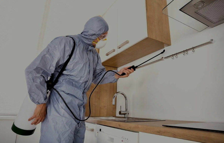 Waxahachie pest managment